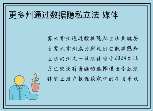 更多州通过数据隐私立法 媒体
